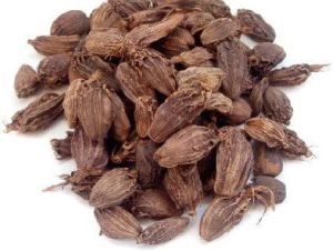 Black Cardamom