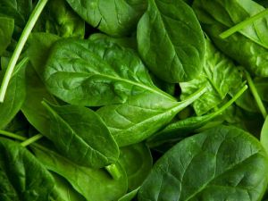 Fresh Spinach