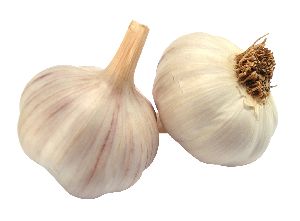 natural garlic