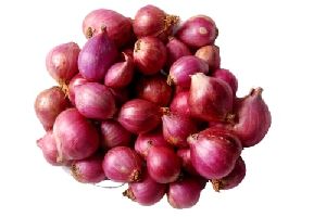 Fresh Small Red Onion