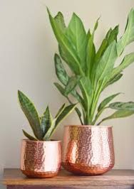 Decorative Planters