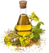 Cold Pressed Mustard Oil