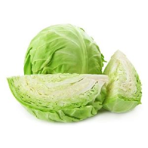 Fresh Green Cabbage