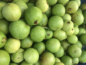 Fresh Guava