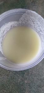 ilmudeen vadaviya COW GHEE