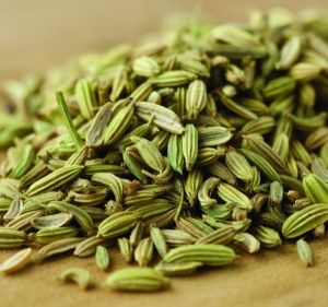 Fennel Seeds