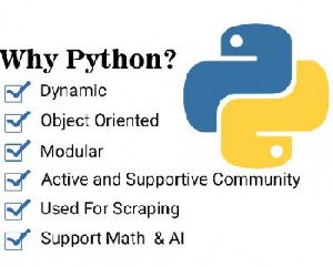 python training