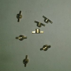 Brass Makhi Bolt