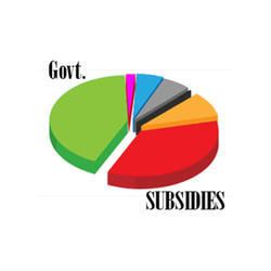 Subsidy Consultation Service