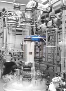 Assemblies Over Glass Lined Reactor