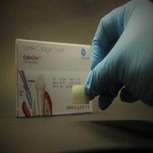 Cologide Sterile Collagen Sheets