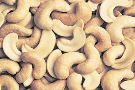 cashew