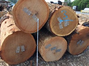 Red Oak Logs