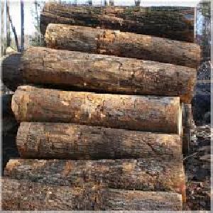 White Ash Wood Logs