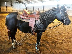 10010098 Western Horse Saddles