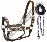 Horse Bridle Hl-80050039