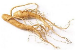 Ginseng Dry Extract