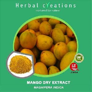 Mango Dry Extract