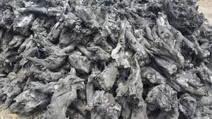 Root Wood Charcoal