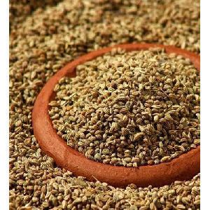 Ajwain Seeds (Trachyspermum ammi)