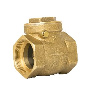 Check Valve