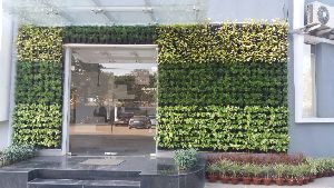 Vertical Green Wall Garden