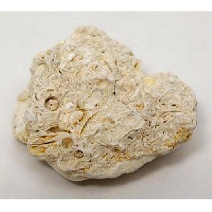 Brown Rock Limestone