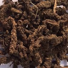 Tagar Root