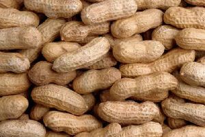 Whole Groundnut