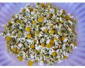 Freeze Dried Chamomile flower