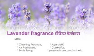 lavender fragrance