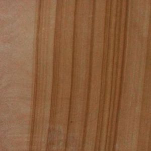 Brown Camel Sandstone