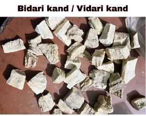 Bidari kand