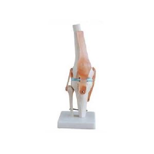orthosis knee joint