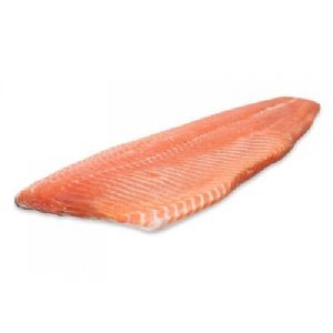 salmon fillet