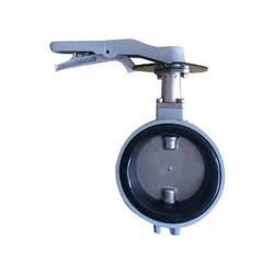 Butterfly Valve