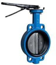 Butterfly Valve