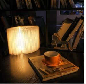 Portable LED Book Lamp