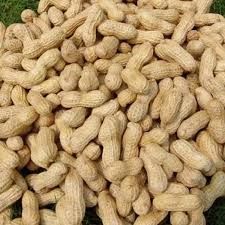 Whole Groundnut