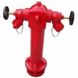 Two Way Fire Hydrant System