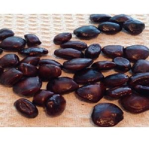 raw tamarind seeds