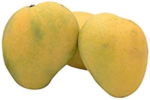 Fresh Rajapuri Mango