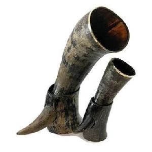 Drinking Horn