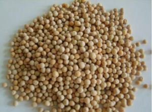 Diammonium Phosphate Granules