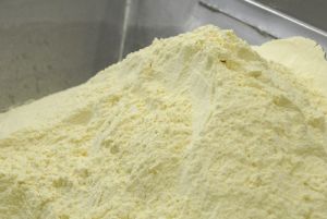 fresh milk powder