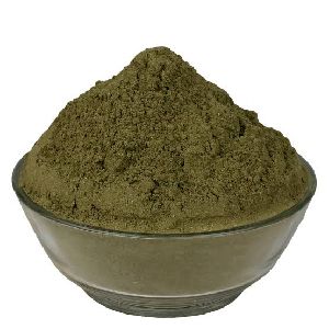 Pudina Powder