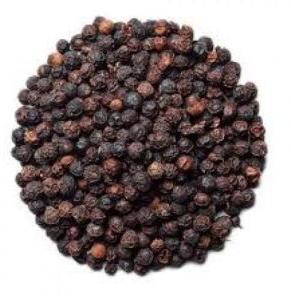 Organic Black Pepper Seeds