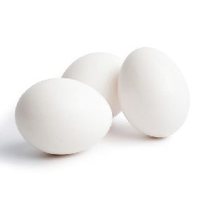 White Egg