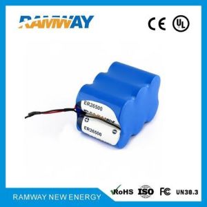 Lithium Thionyl Chloride Battery