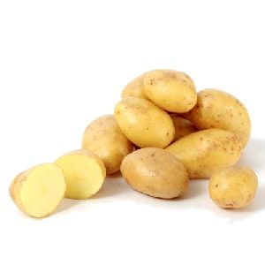 Fresh Baby Potato